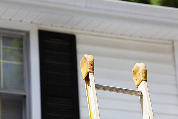 Best Siding Removal and Disposal  in Spring Valley, IL